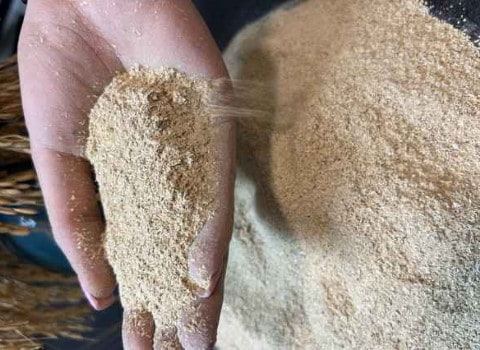 https://shp.aradbranding.com/فروش سبوس برنج خوراک دام + قیمت خرید به صرفه